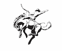 Prime Time Rodeos